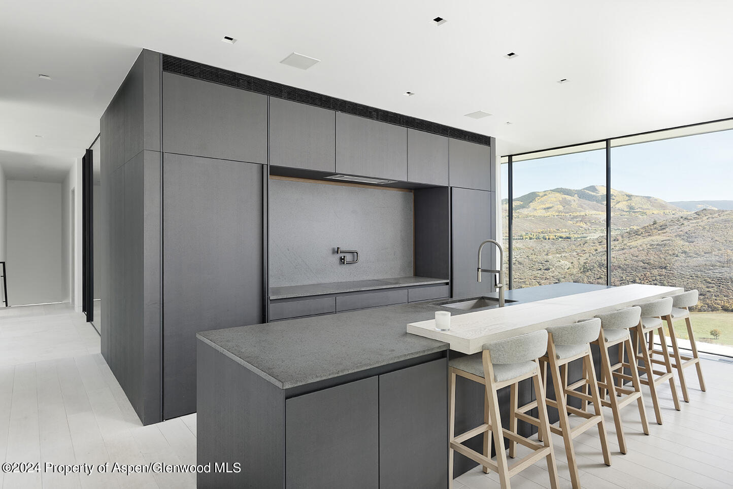 580 Medicine Bow Road Aspen, CO 81611 - Photo 16 of 30 Kitchen-Photo_1