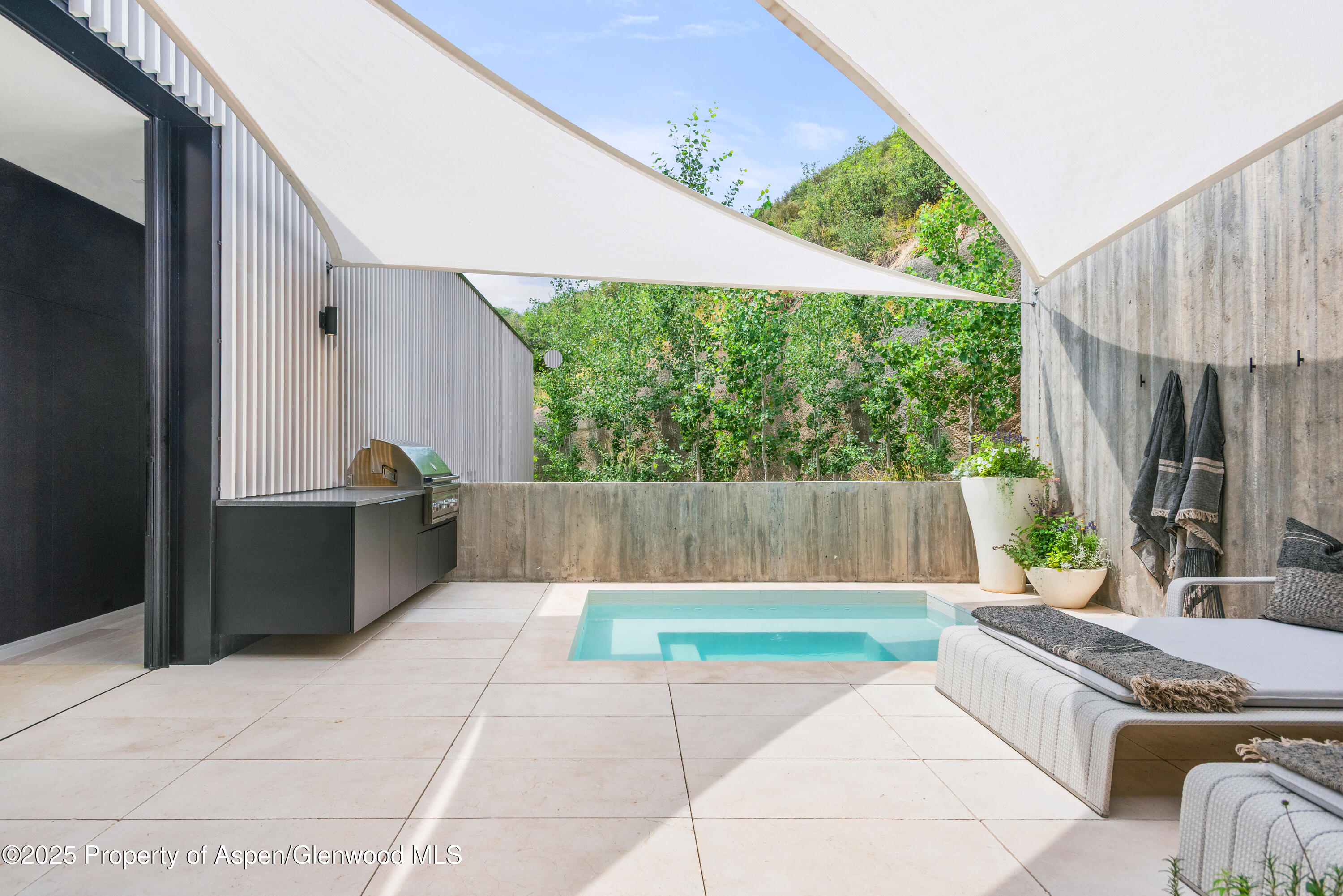 580 Medicine Bow Road Aspen, CO 81611 - Photo 23 of 30 Back Patio-1