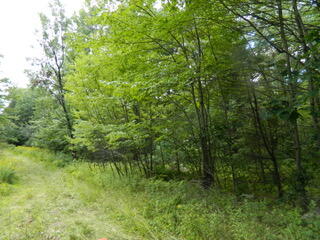 816 Tripptown Road Hiram, ME 04041 - Photo 63 of 73 DSCN4290