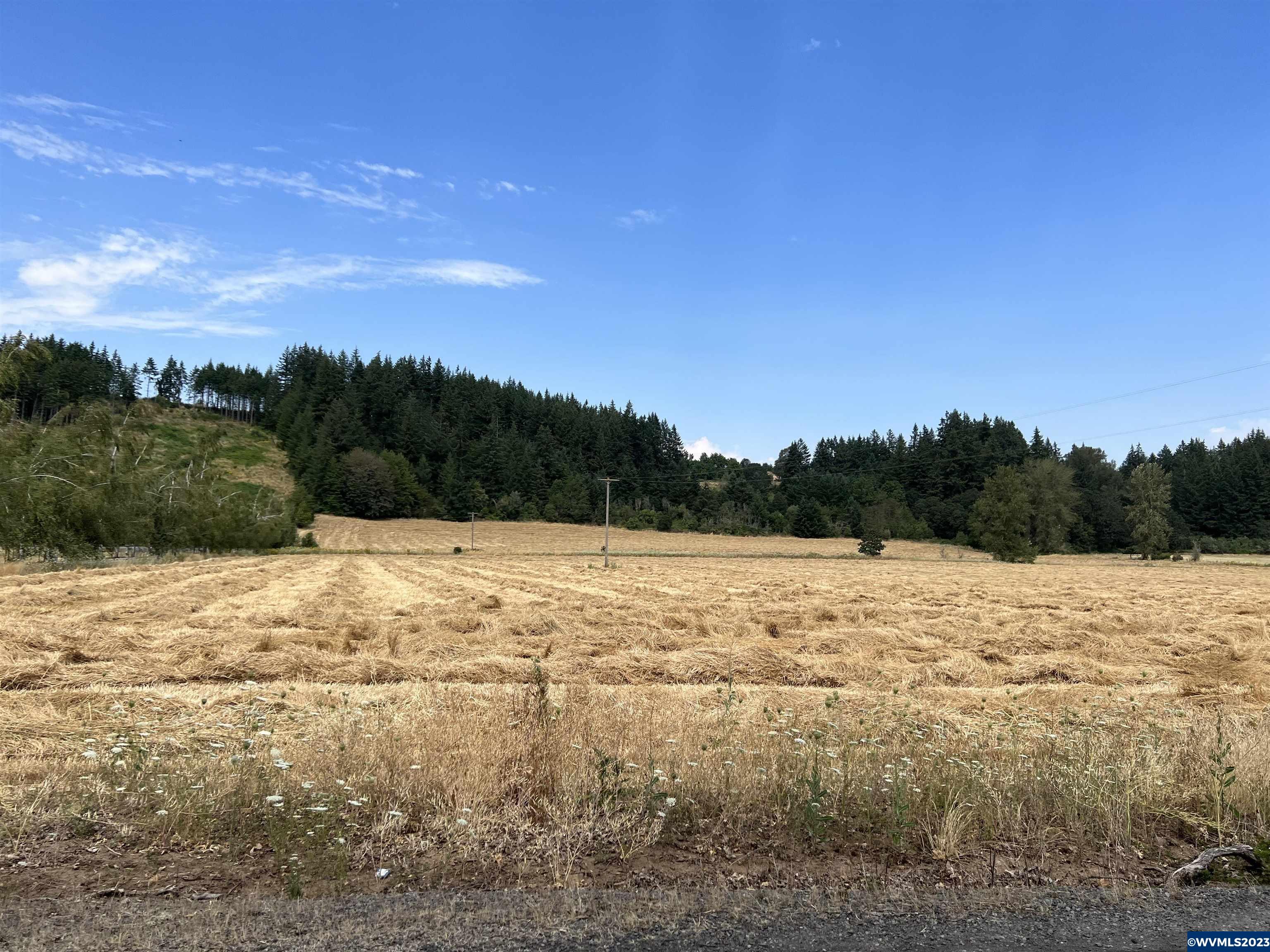 Old Mehama (by To 15700) Road Stayton, OR 97383 - Photo 3 of 8