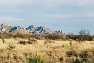 160 East Diamondback Road St. David, AZ 85630 - Photo 3 of 7 Gallery Image 3