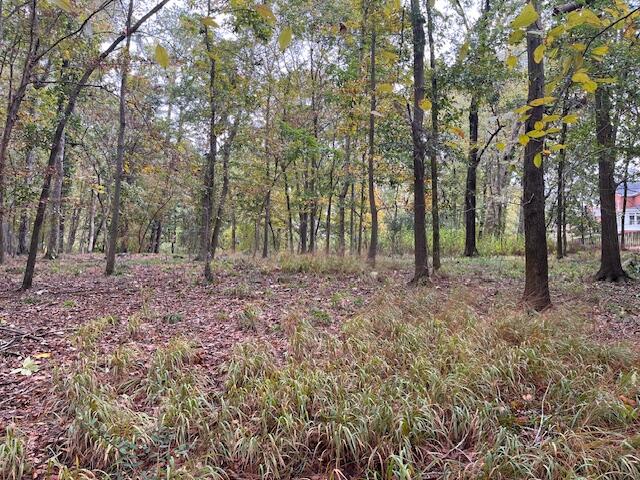 0 River Bluff Road North Augusta, SC 29841 - Photo 2 of 9 IMG_2529