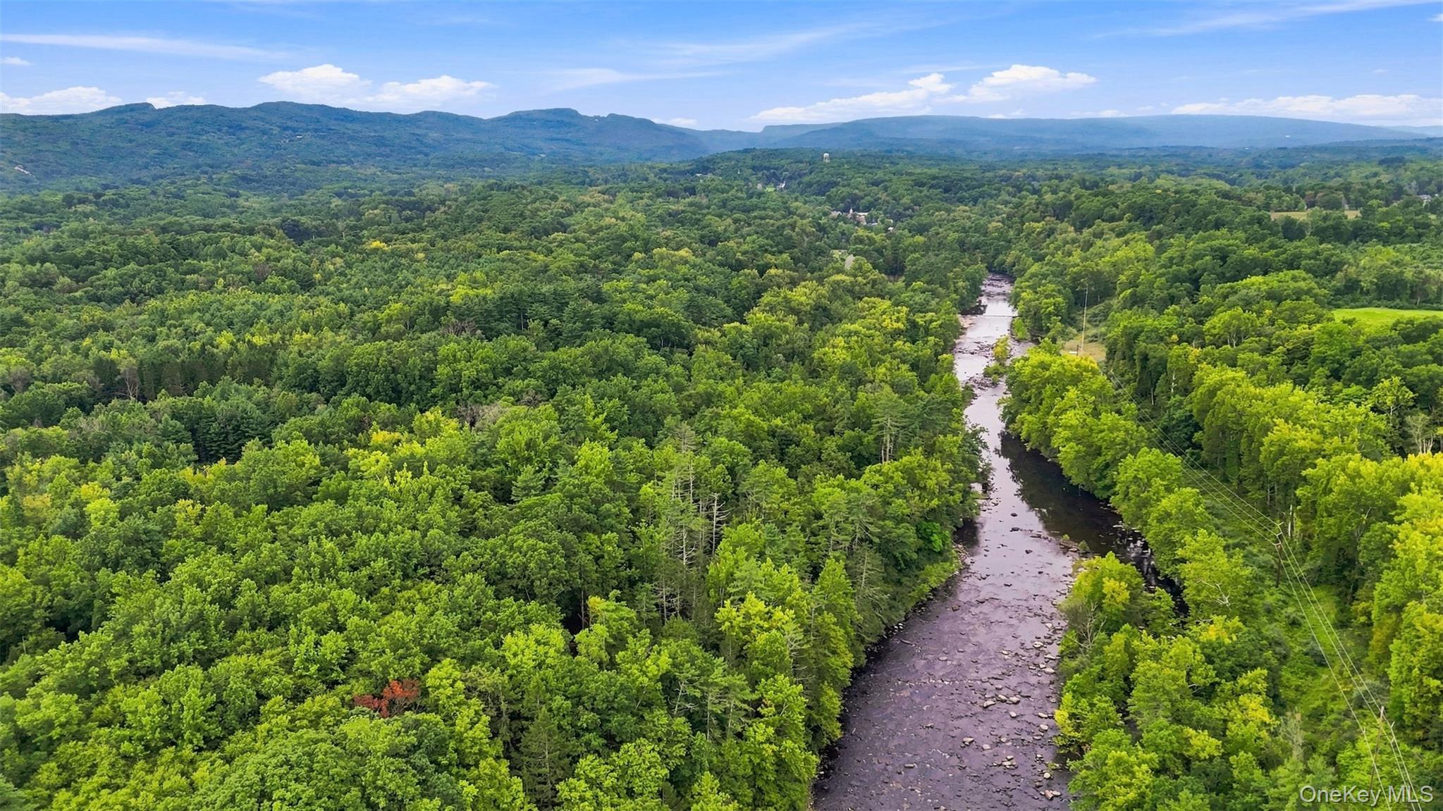 Bruceville Road High Falls, NY 12440 - Photo 6 of 24 Gallery Image 6
