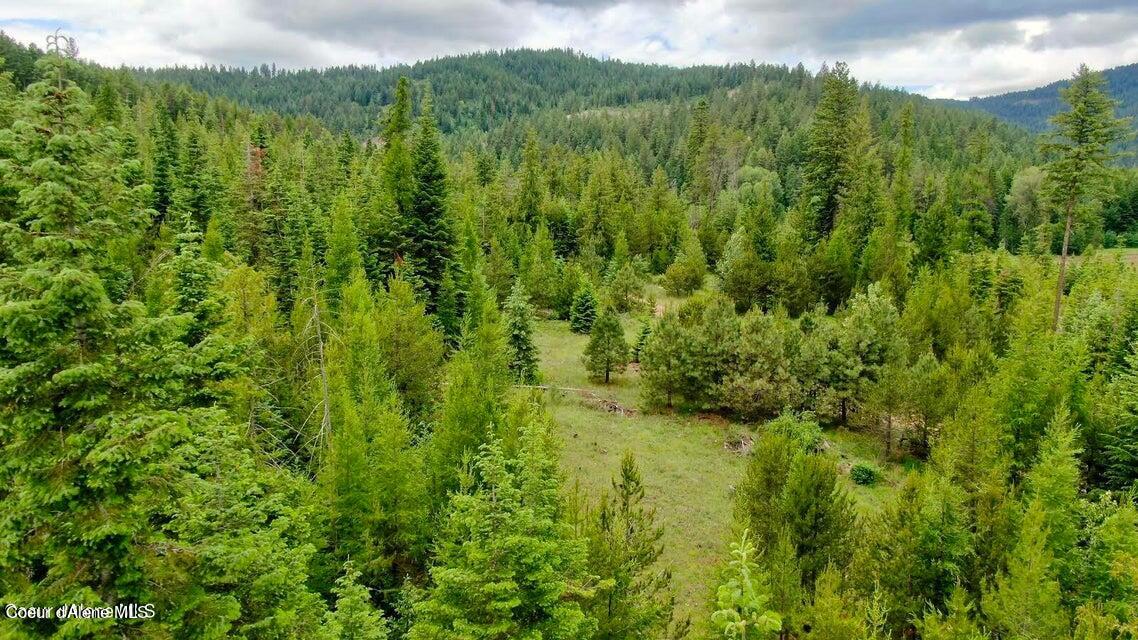 1b 10 Acres Road Spirit Lake, ID 83869 - Photo 1 of 1 1B A