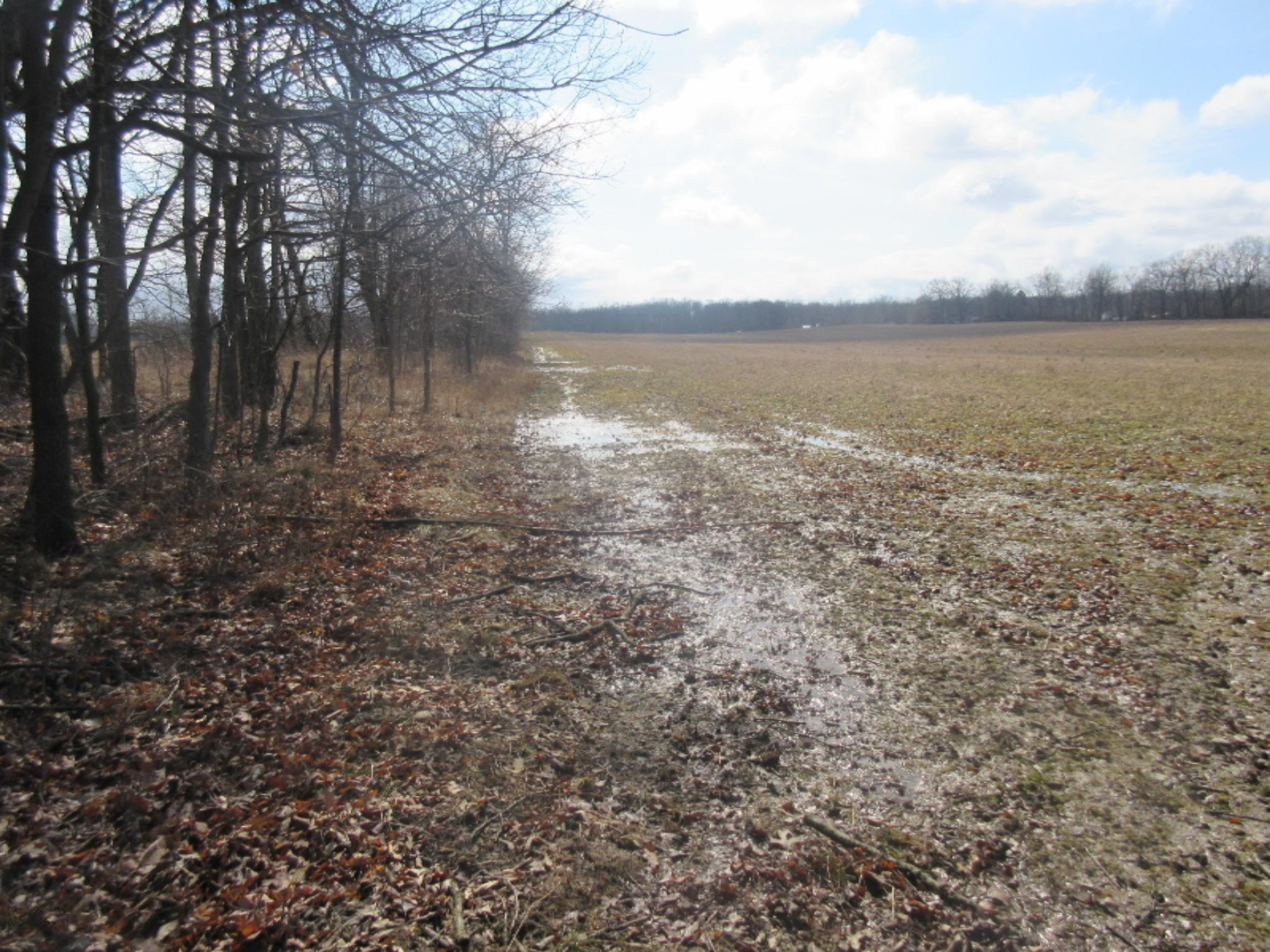 McCaughna Road Gaines, MI 48436 - Photo 27 of 53 IMG_5915