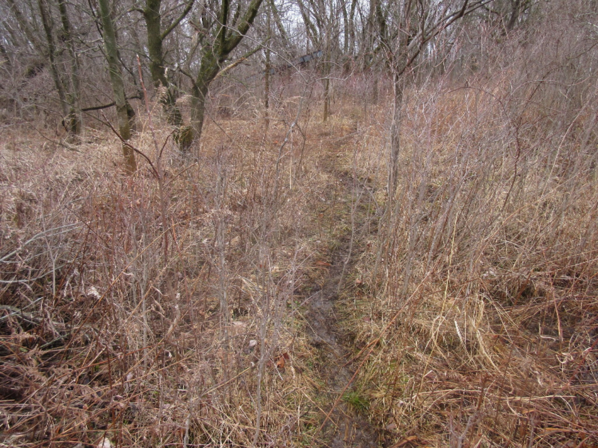 McCaughna Road Gaines, MI 48436 - Photo 3 of 53 IMG_5839