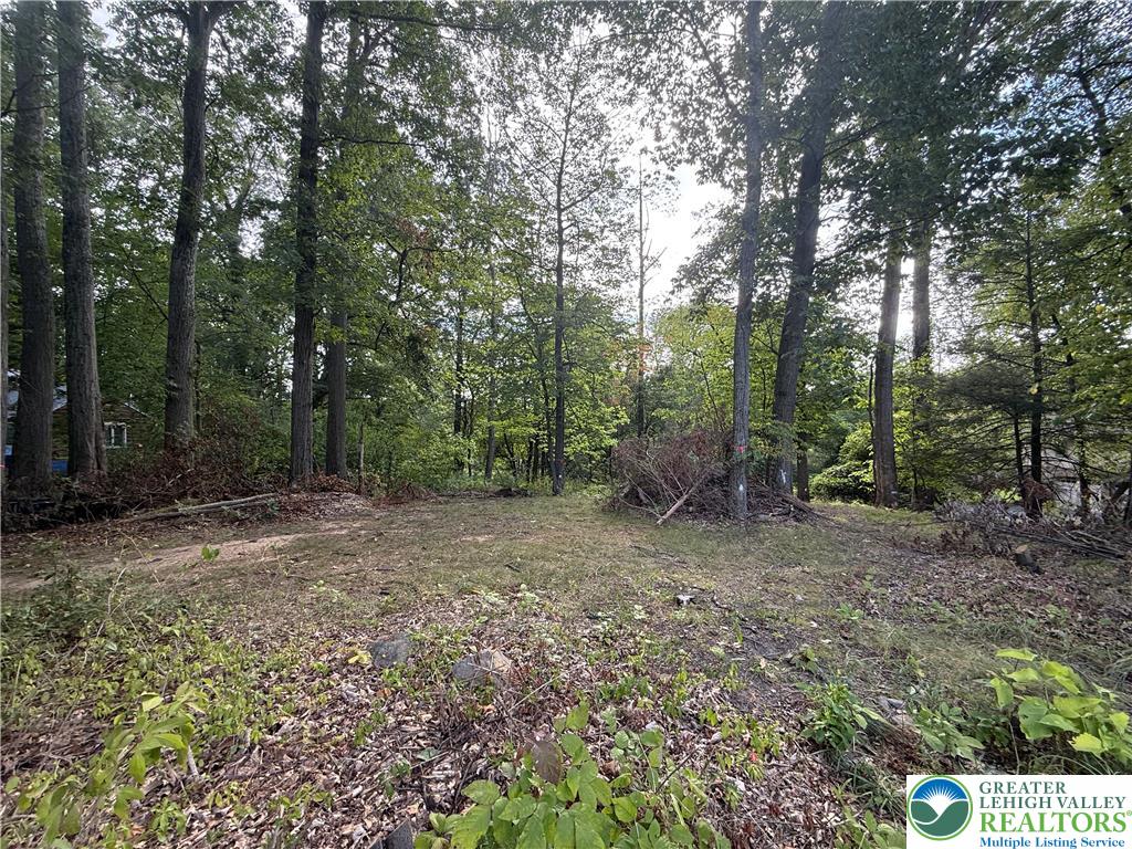 6551 Blue Church Road South Coopersburg, PA 18036 - Photo 2 of 2 a view of a forest with trees in the background