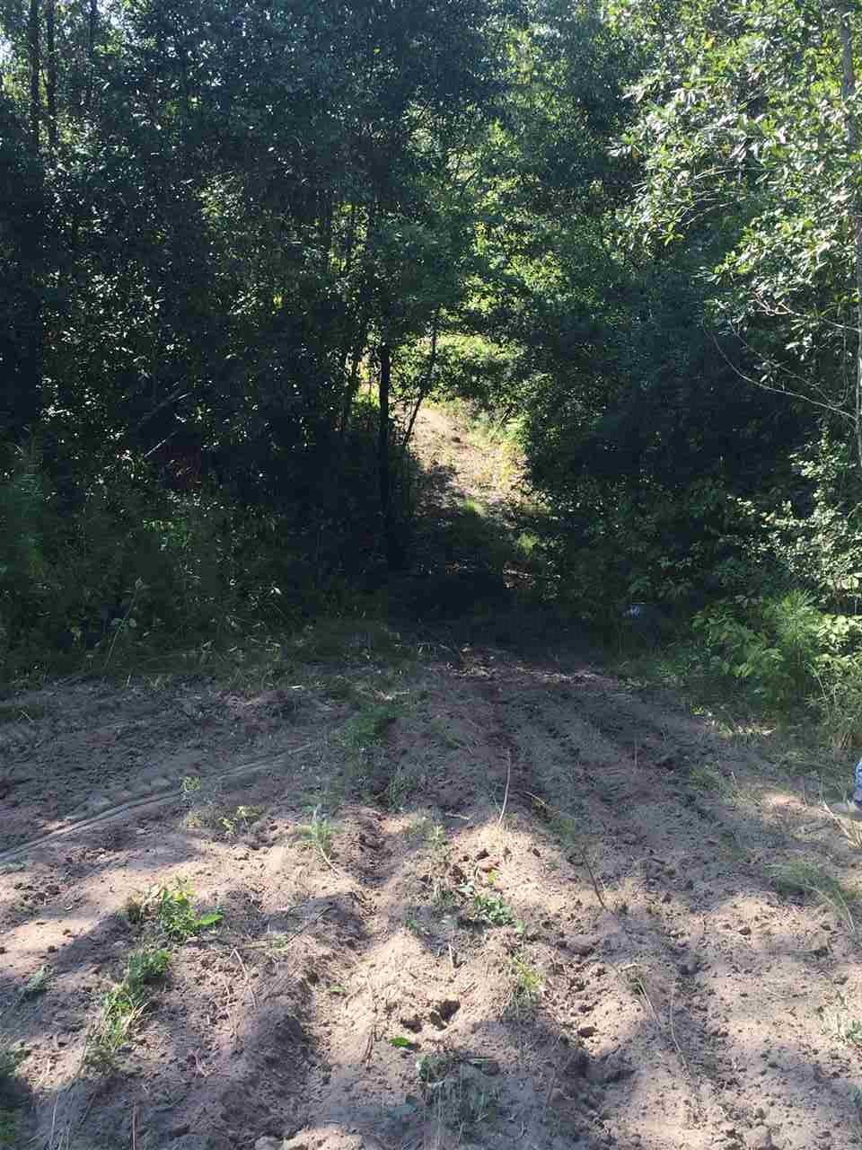 0 Poole Road Castleberry, AL 36432 - Photo 29 of 32