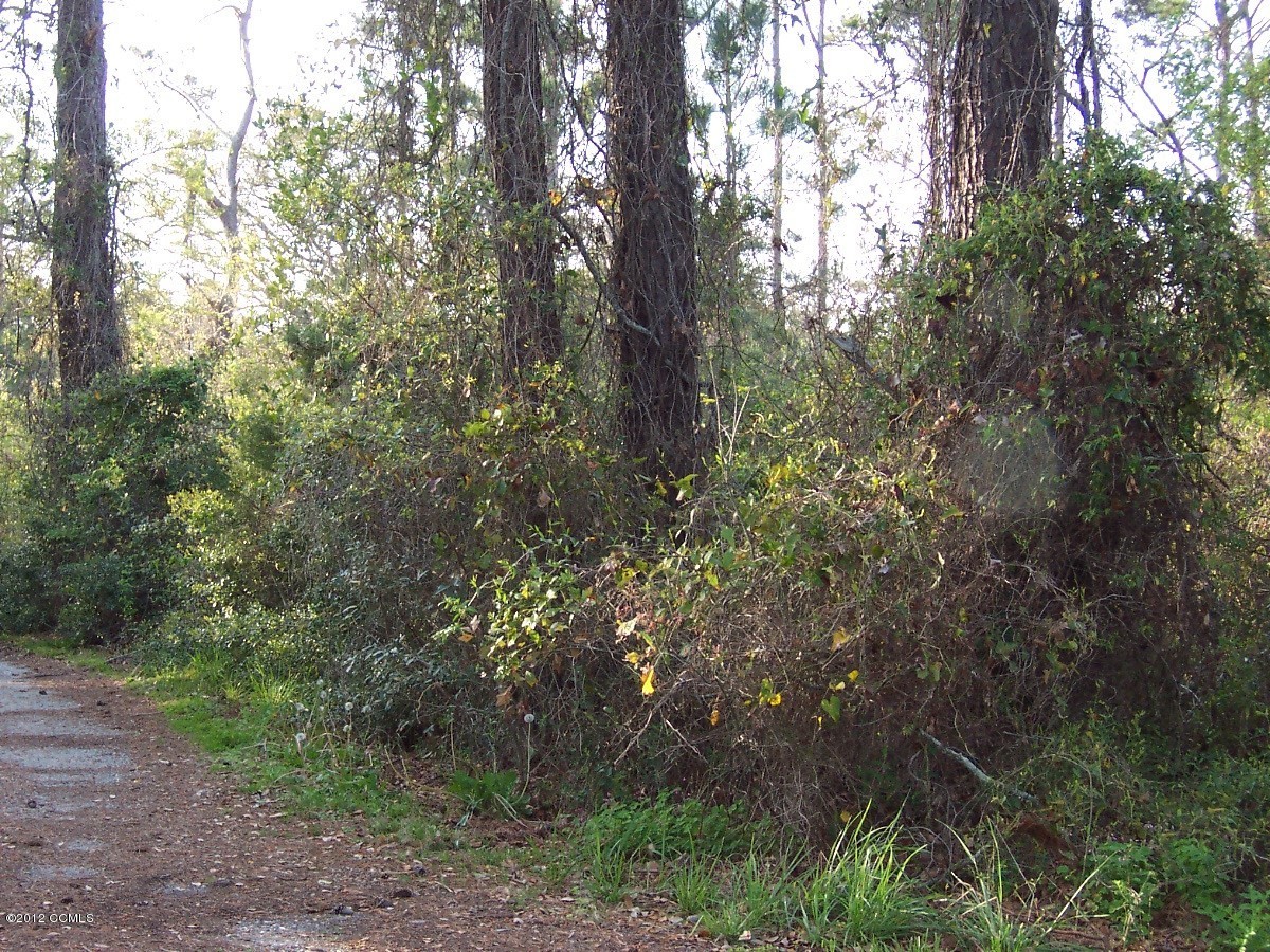 136 Shell Road Atlantic, NC 28511 - Photo 1 of 4 Lot to the right of driveway