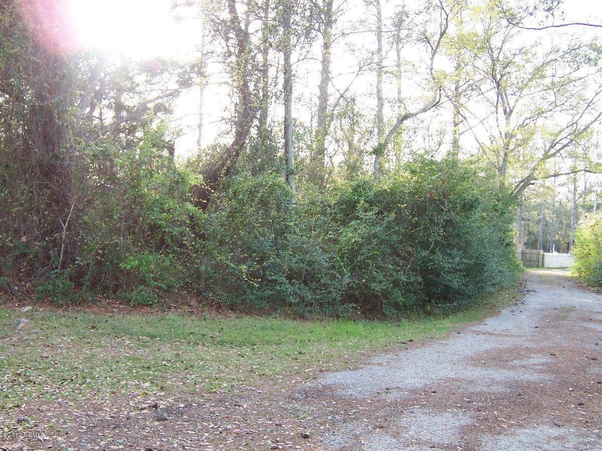 136 Shell Road Atlantic, NC 28511 - Photo 3 of 4 Access driveway