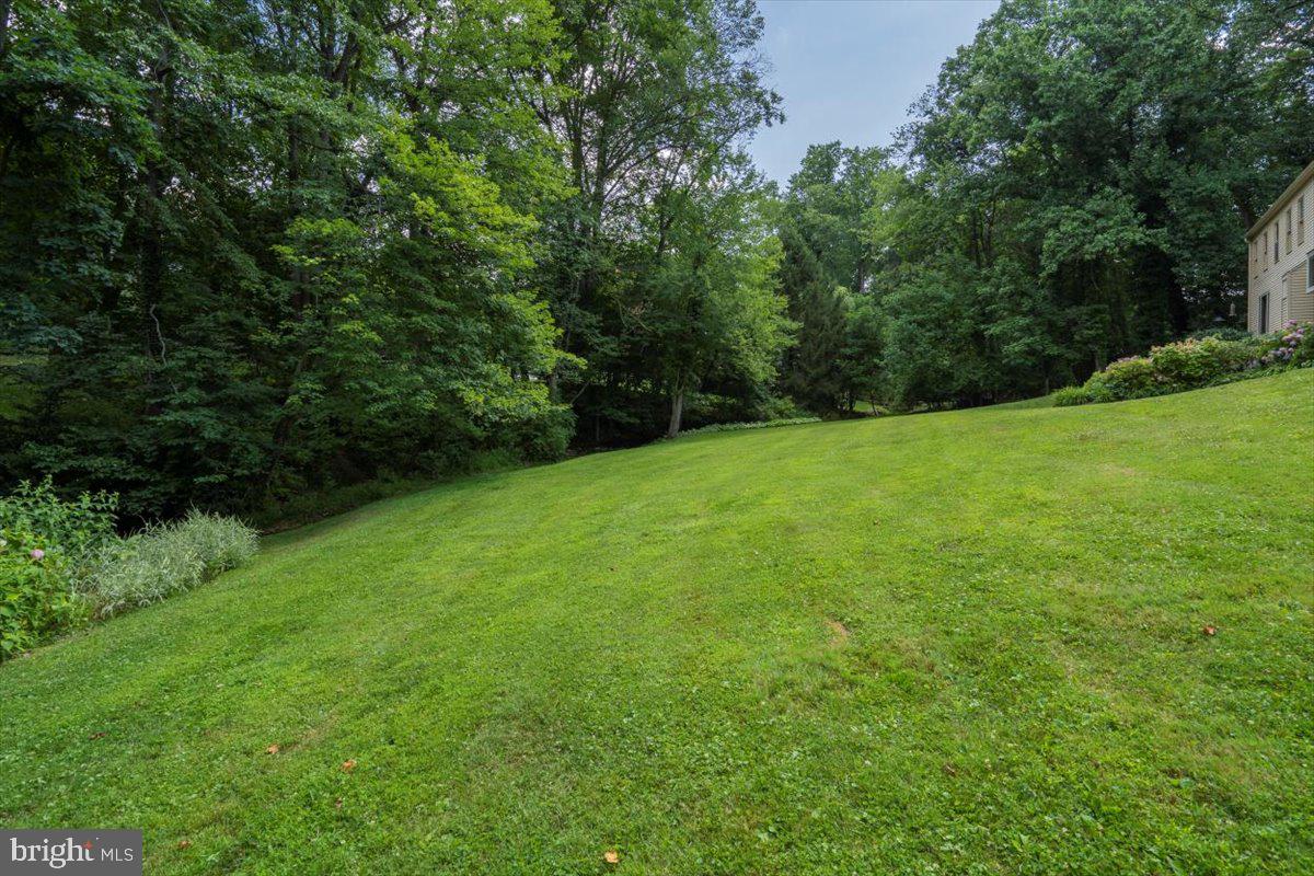 455 Timber Lane Devon, PA 19333 - Photo 45 of 60 Backyard leading to the brook