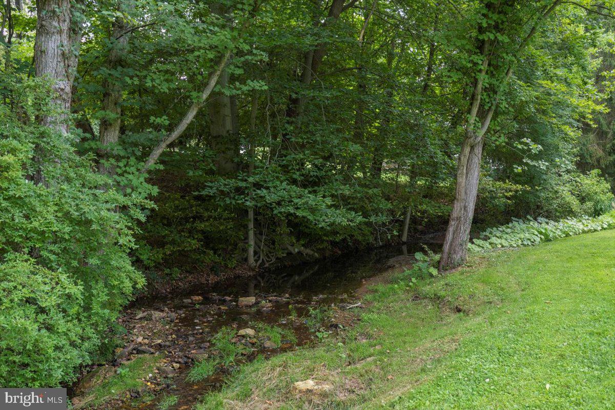 455 Timber Lane Devon, PA 19333 - Photo 56 of 60 Nature lovers' paradise