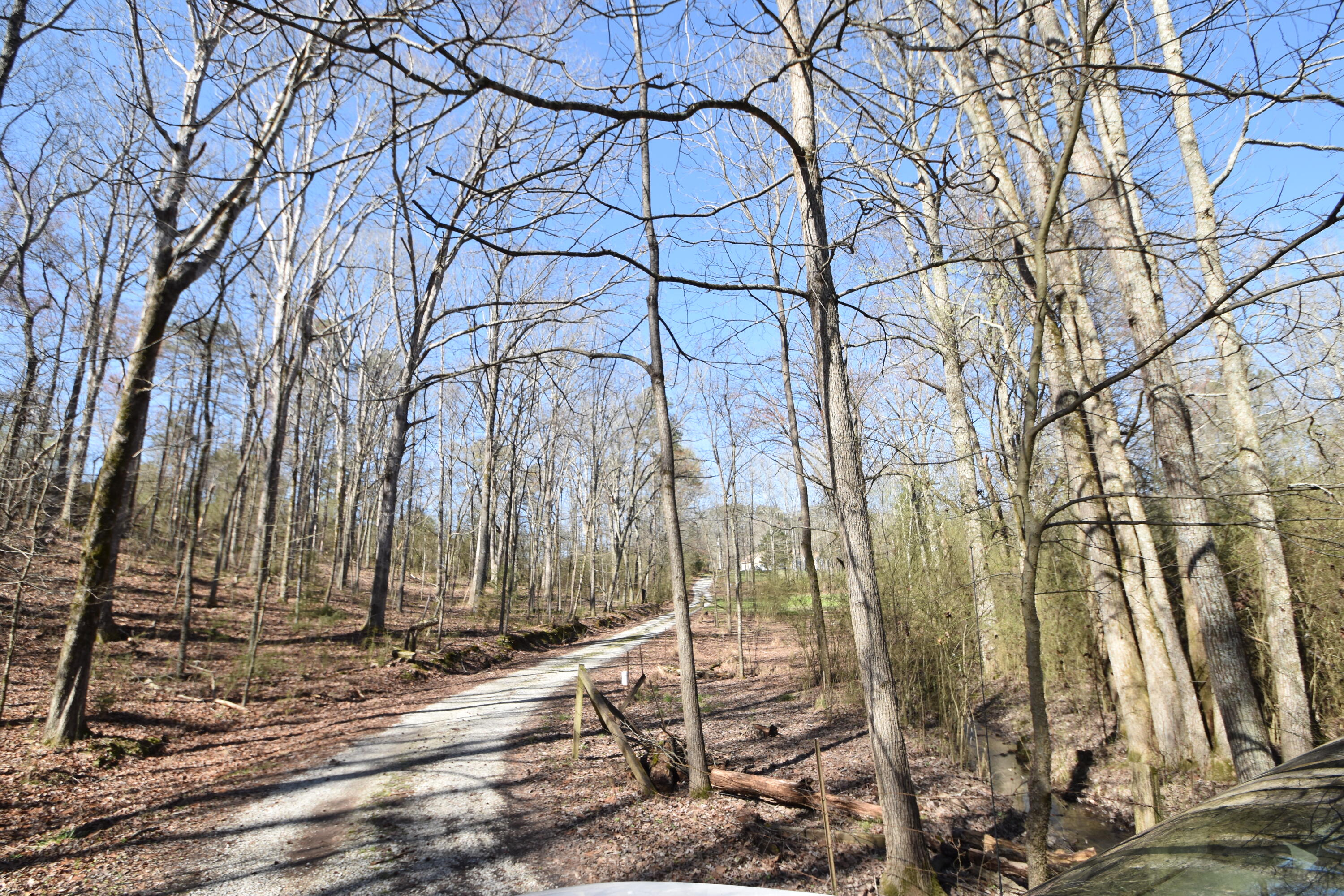 7312 Runyan Road Georgetown, TN 37336 - Photo 12 of 40 DSC_0618