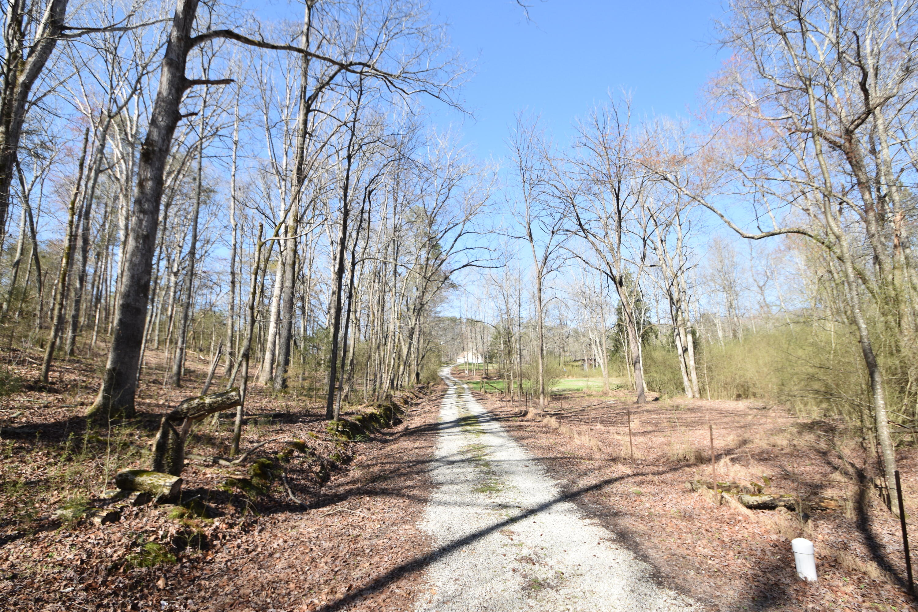 7312 Runyan Road Georgetown, TN 37336 - Photo 13 of 40 DSC_0621