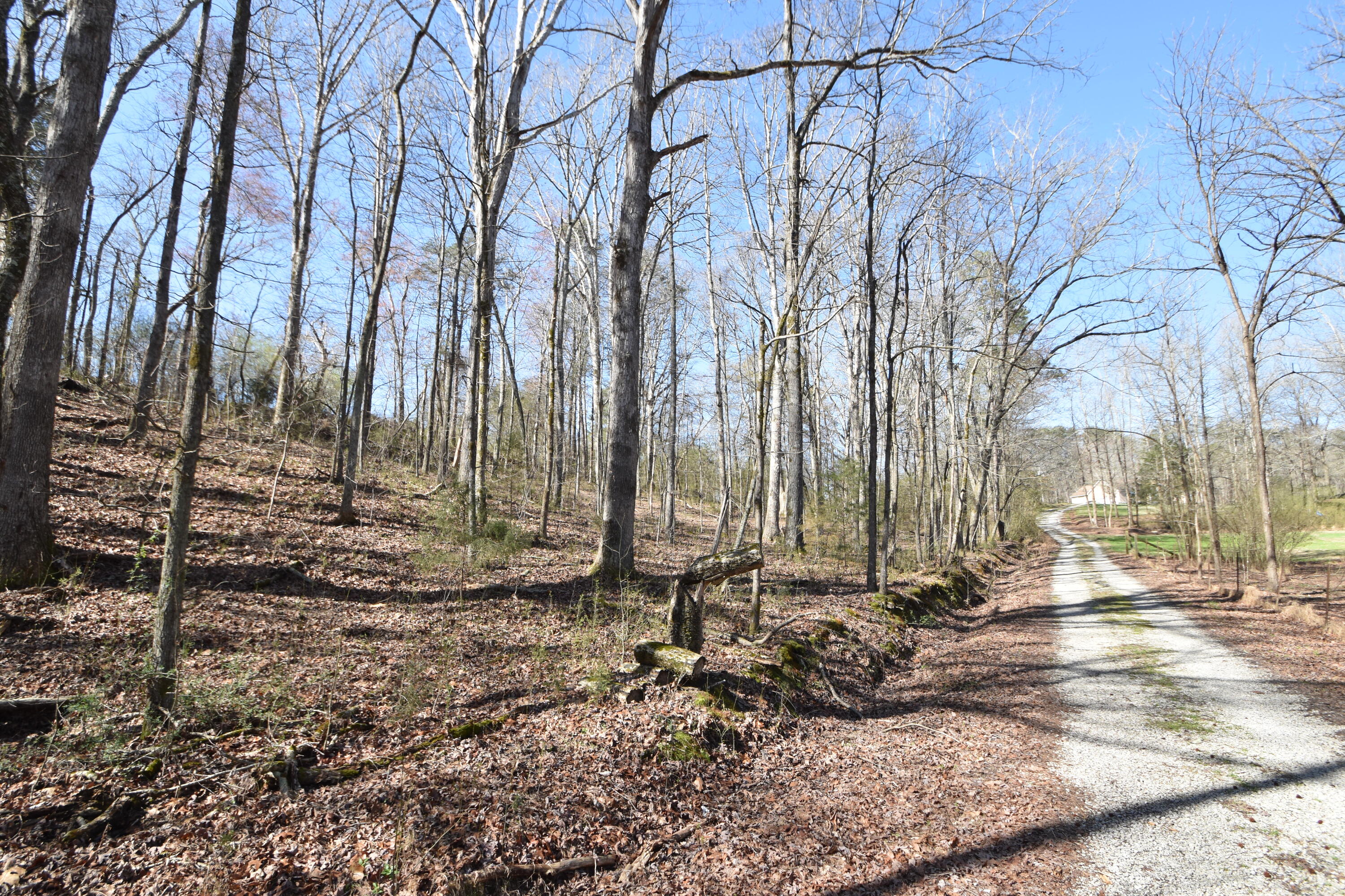 7312 Runyan Road Georgetown, TN 37336 - Photo 14 of 40 DSC_0624