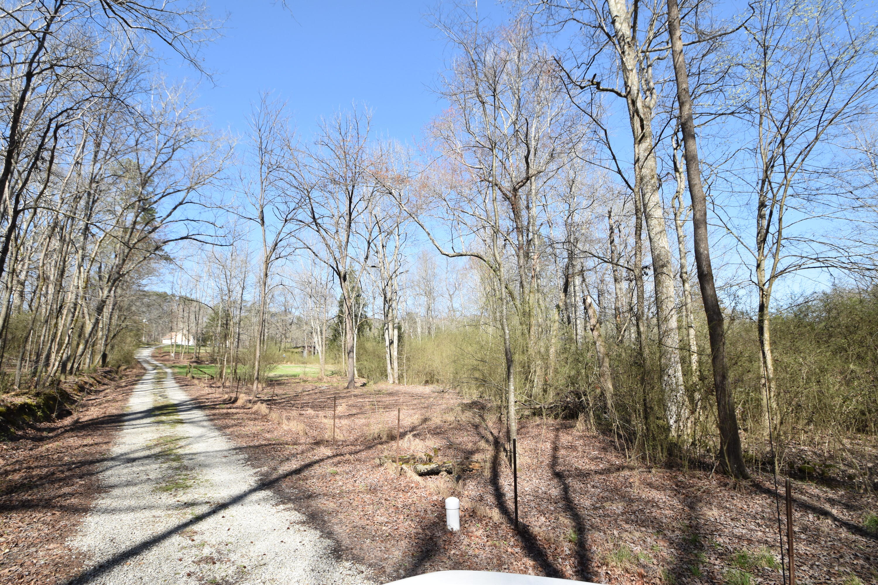 7312 Runyan Road Georgetown, TN 37336 - Photo 15 of 40 DSC_0625