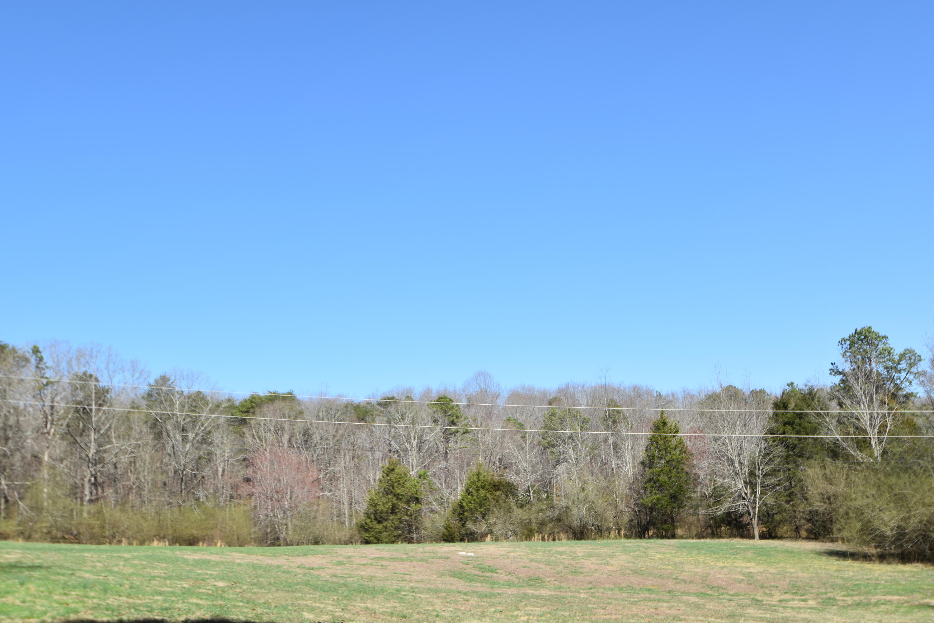 7312 Runyan Road Georgetown, TN 37336 - Photo 20 of 40 DSC_0631