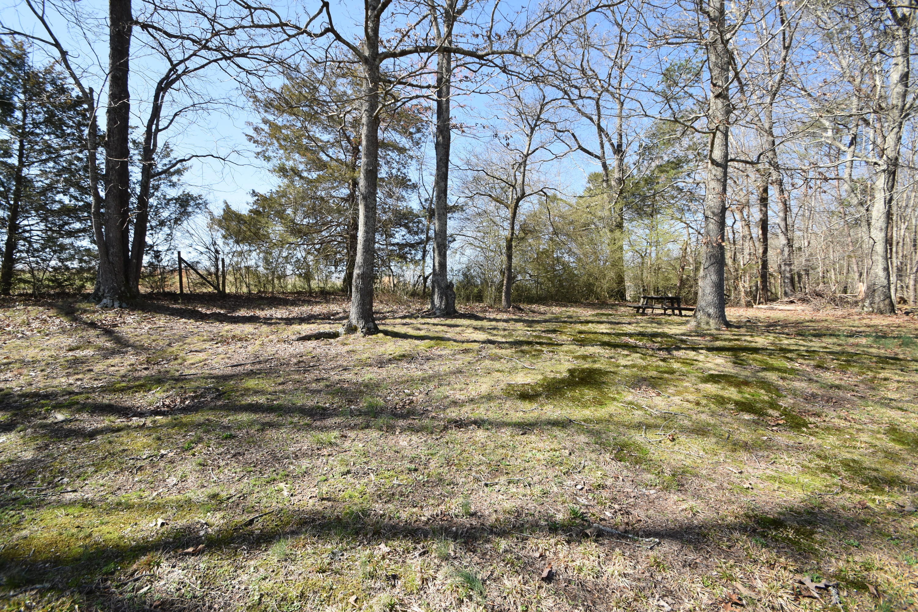 7312 Runyan Road Georgetown, TN 37336 - Photo 25 of 40 DSC_0657