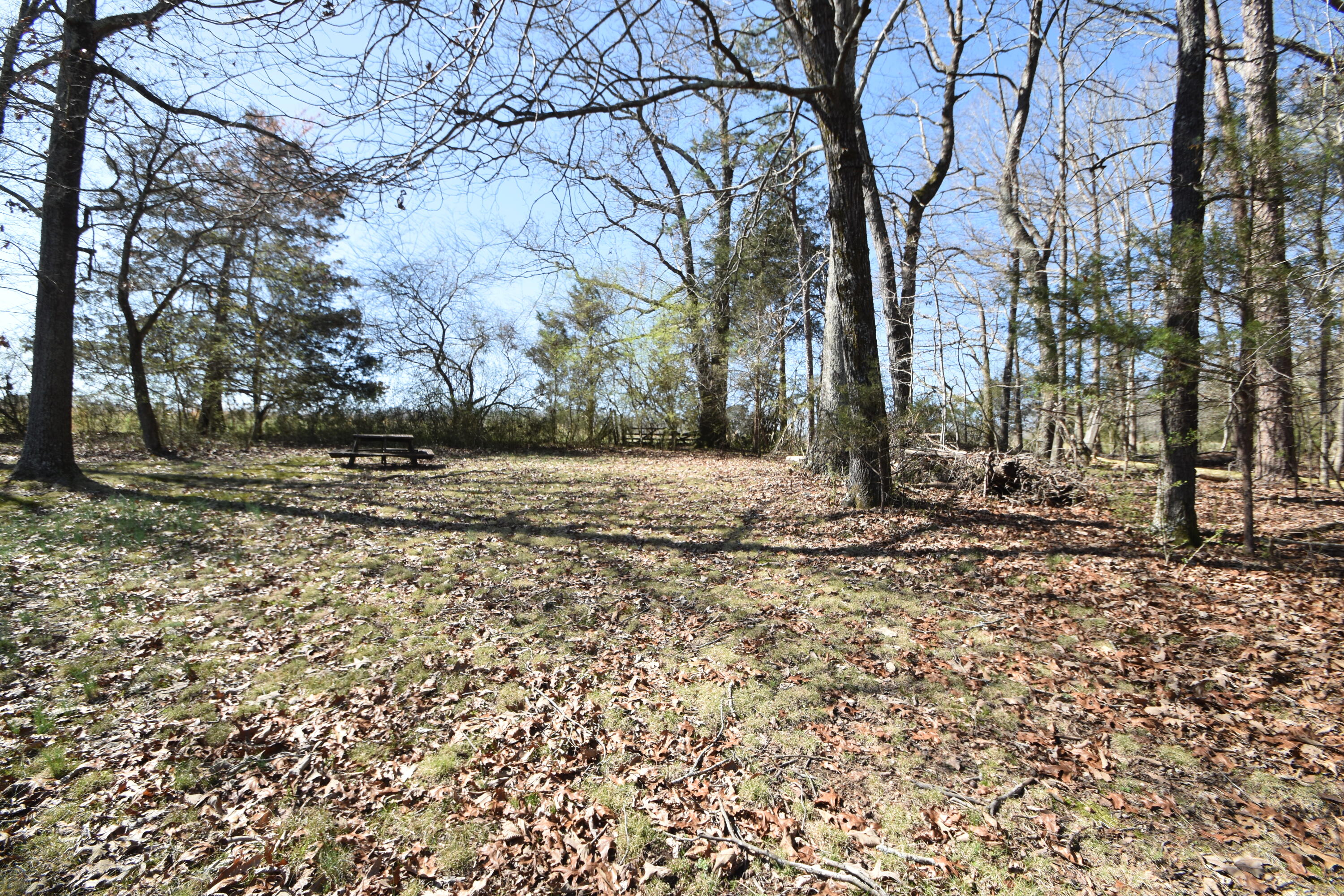 7312 Runyan Road Georgetown, TN 37336 - Photo 5 of 40 DSC_0655