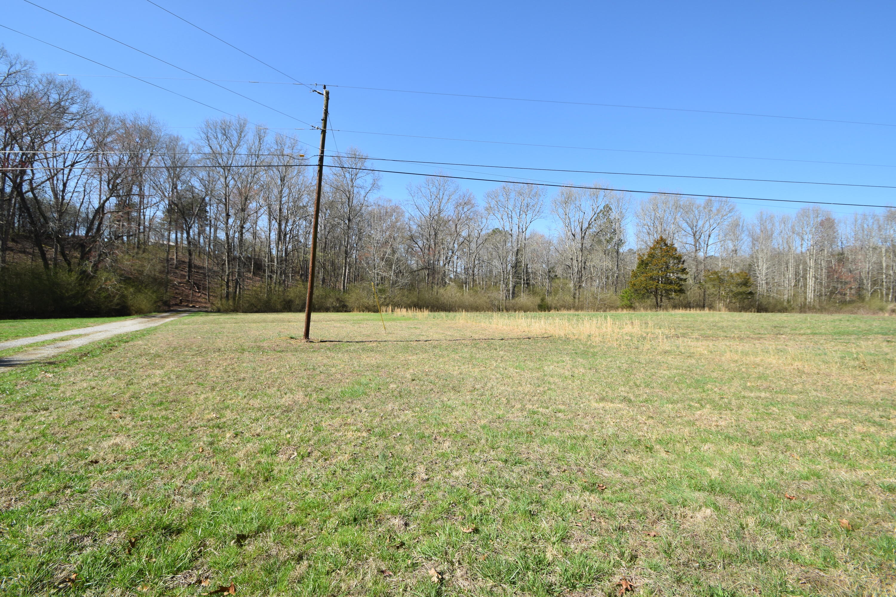 7312 Runyan Road Georgetown, TN 37336 - Photo 8 of 40 DSC_0611