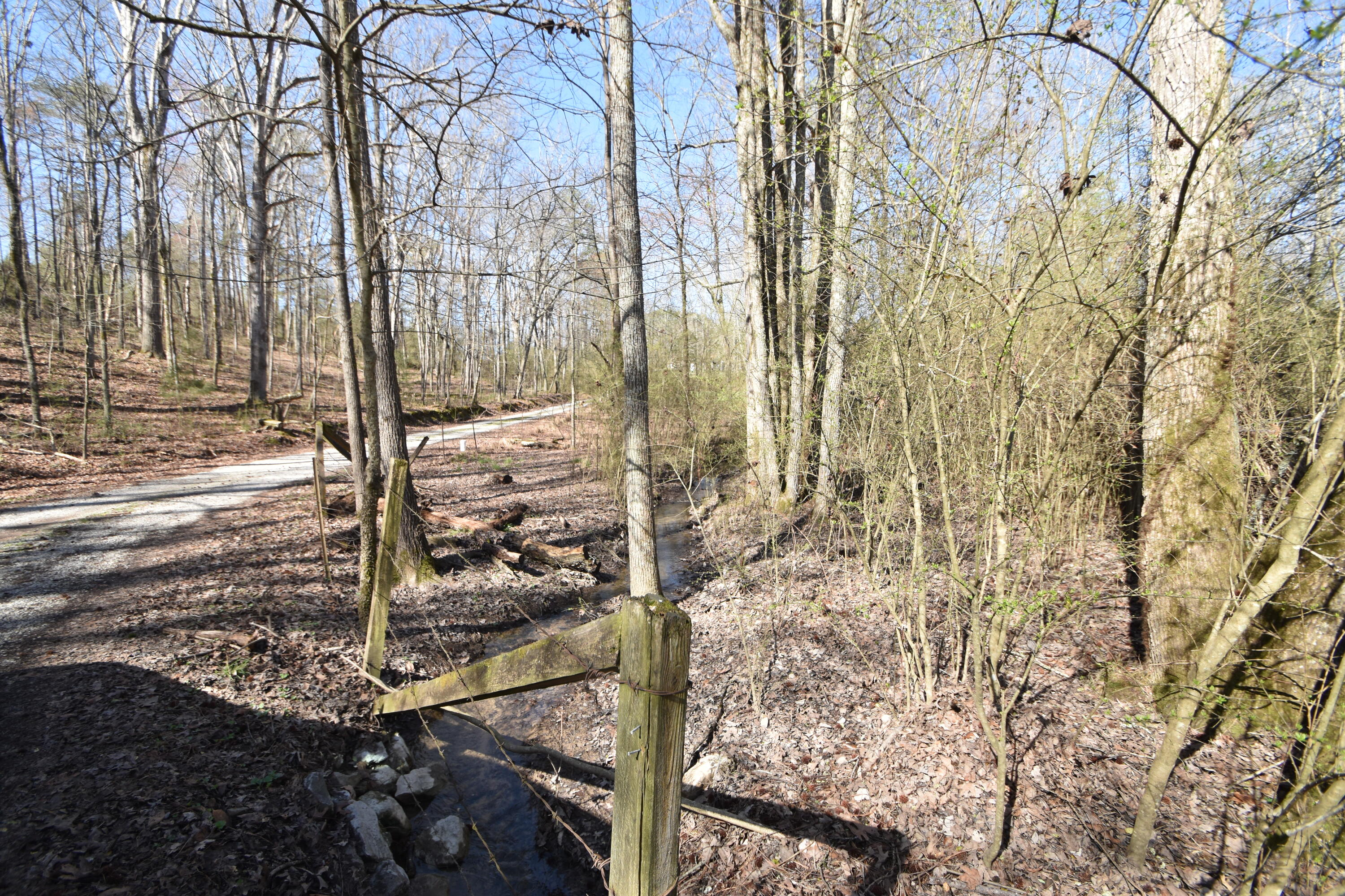7312 Runyan Road Georgetown, TN 37336 - Photo 10 of 40 DSC_0616
