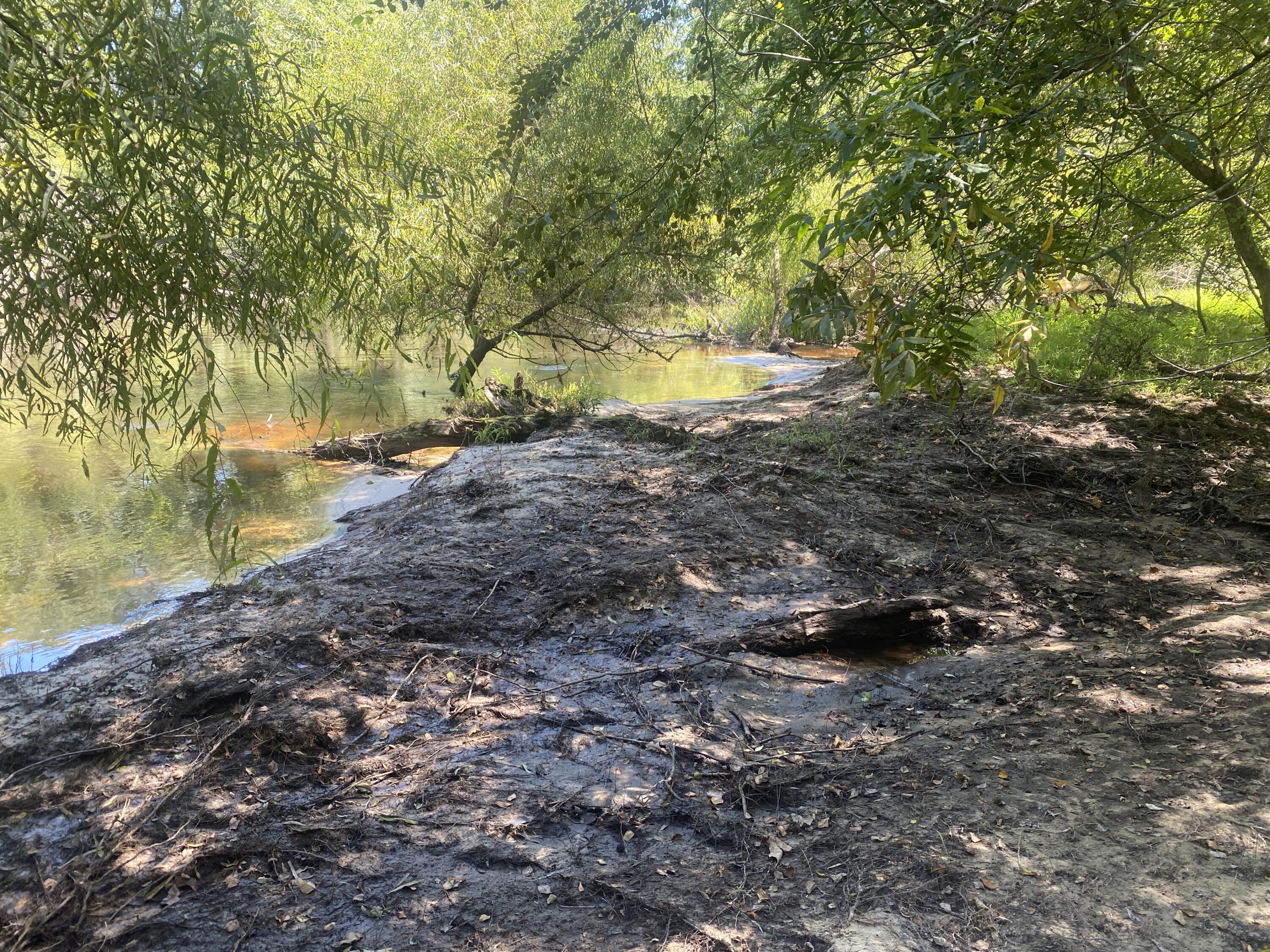 0 Hobbie Lane Round O, SC 29474 - Photo 11 of 35 0 Hobbie Lane (11)