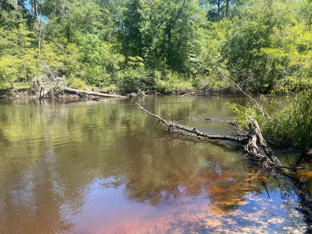 $350,000 | 0 Hobbie Lane, Round O, SC 29474