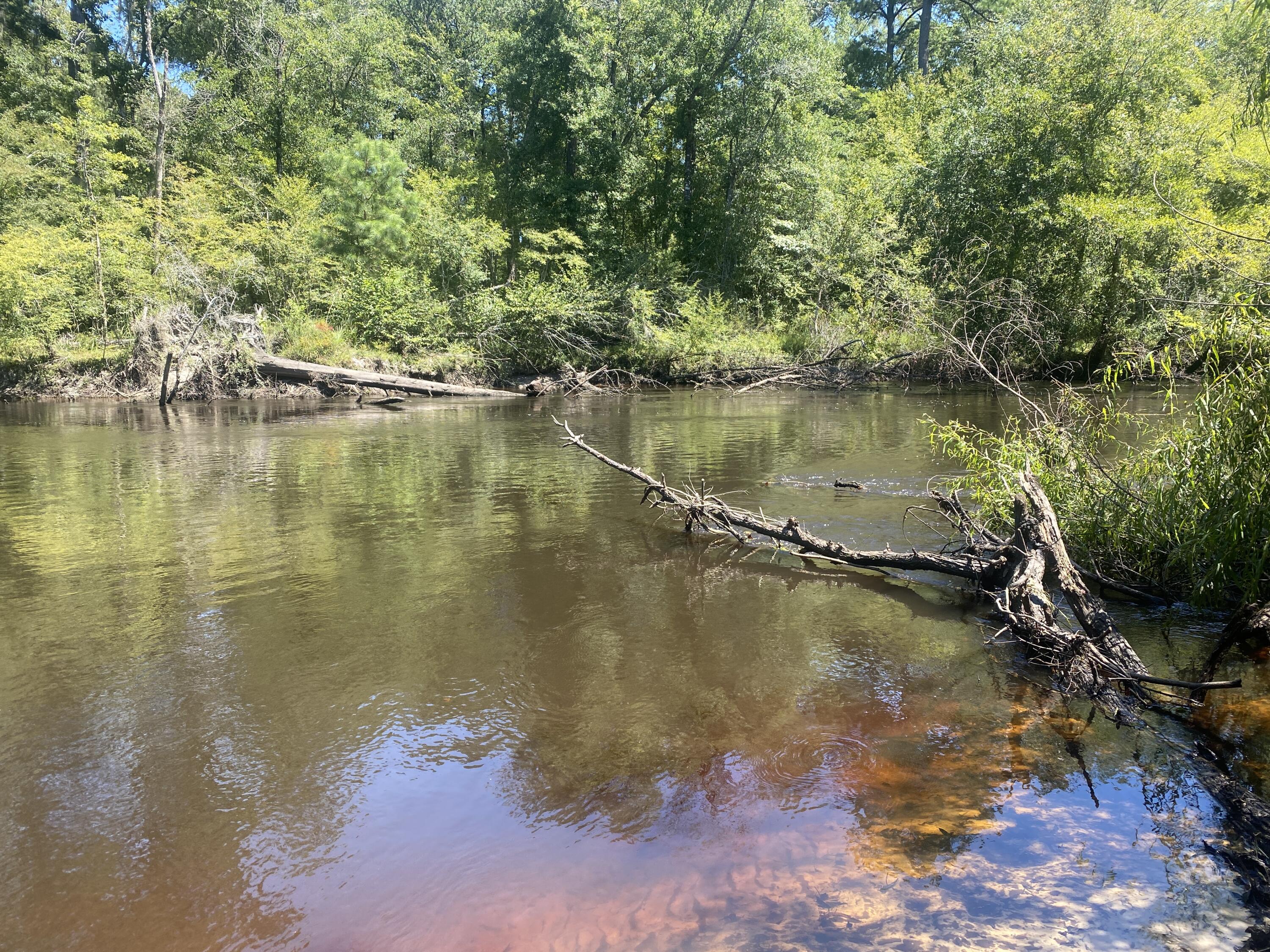 0 Hobbie Lane Round O, SC 29474 - Photo 12 of 35 0 Hobbie Lane (13)