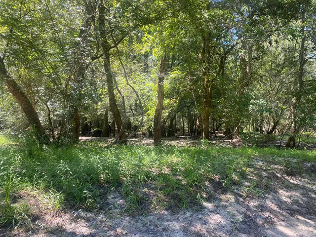 $350,000 | 0 Hobbie Lane, Round O, SC 29474