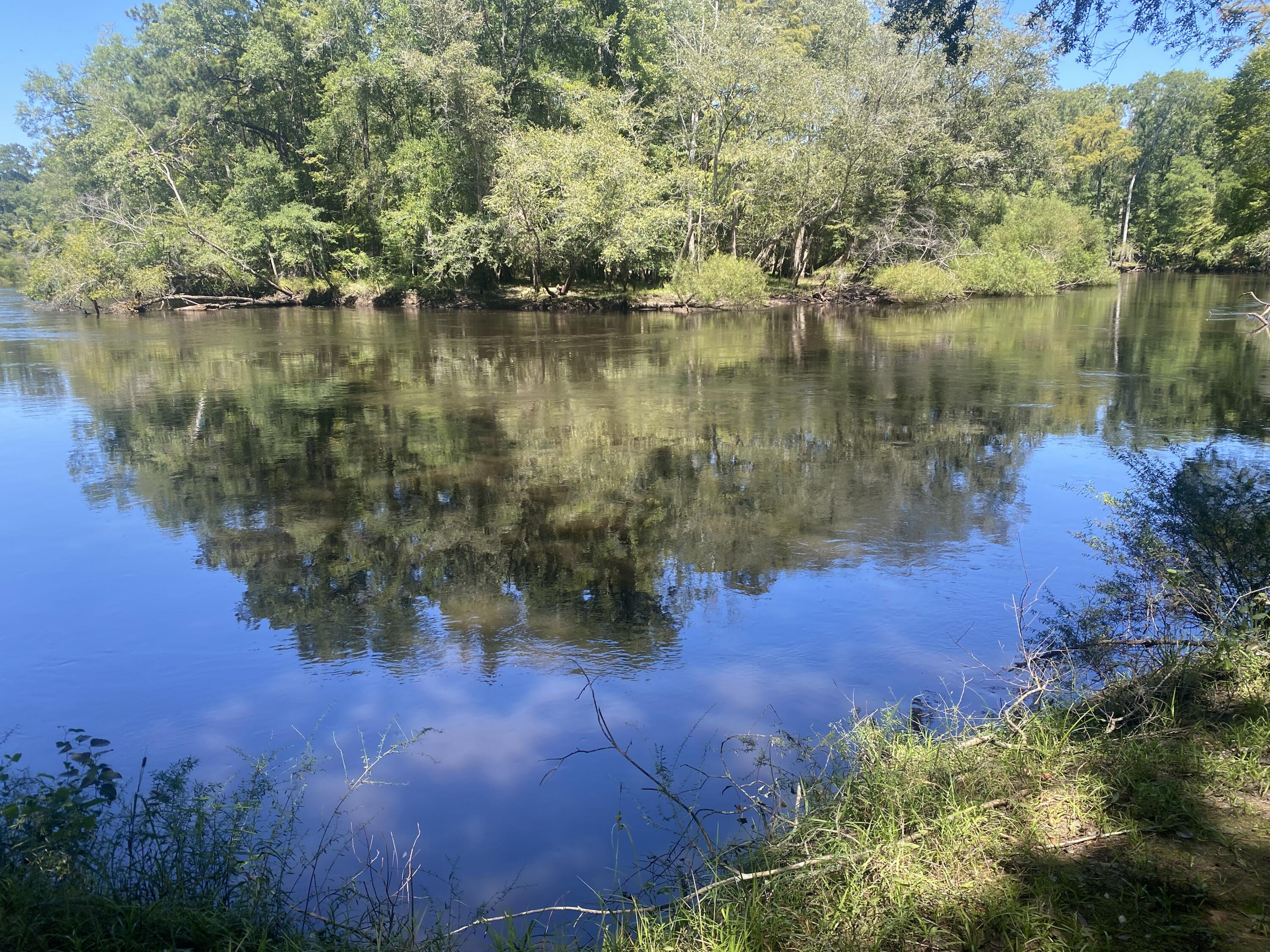 0 Hobbie Lane Round O, SC 29474 - Photo 14 of 35 0 Hobbie Lane (17)