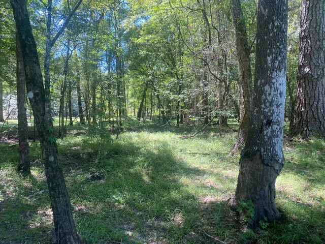 $350,000 | 0 Hobbie Lane, Round O, SC 29474