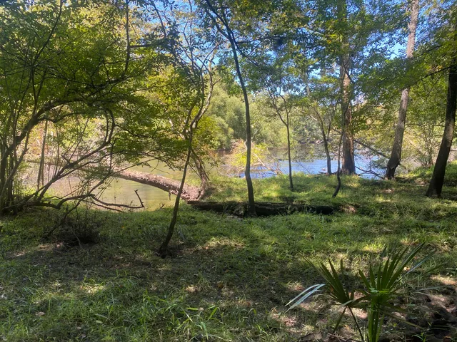 $350,000 | 0 Hobbie Lane, Round O, SC 29474