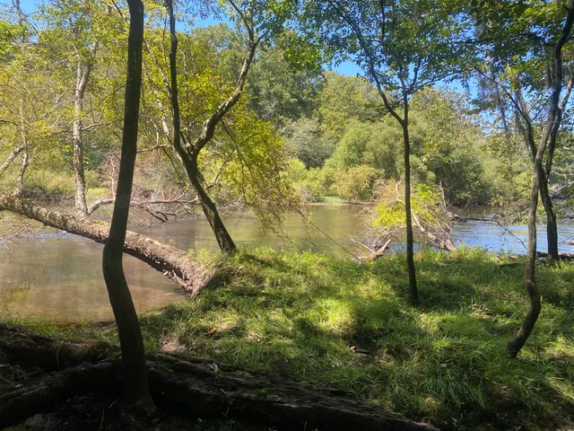 $350,000 | 0 Hobbie Lane, Round O, SC 29474