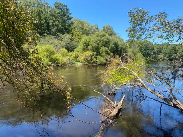 $350,000 | 0 Hobbie Lane, Round O, SC 29474