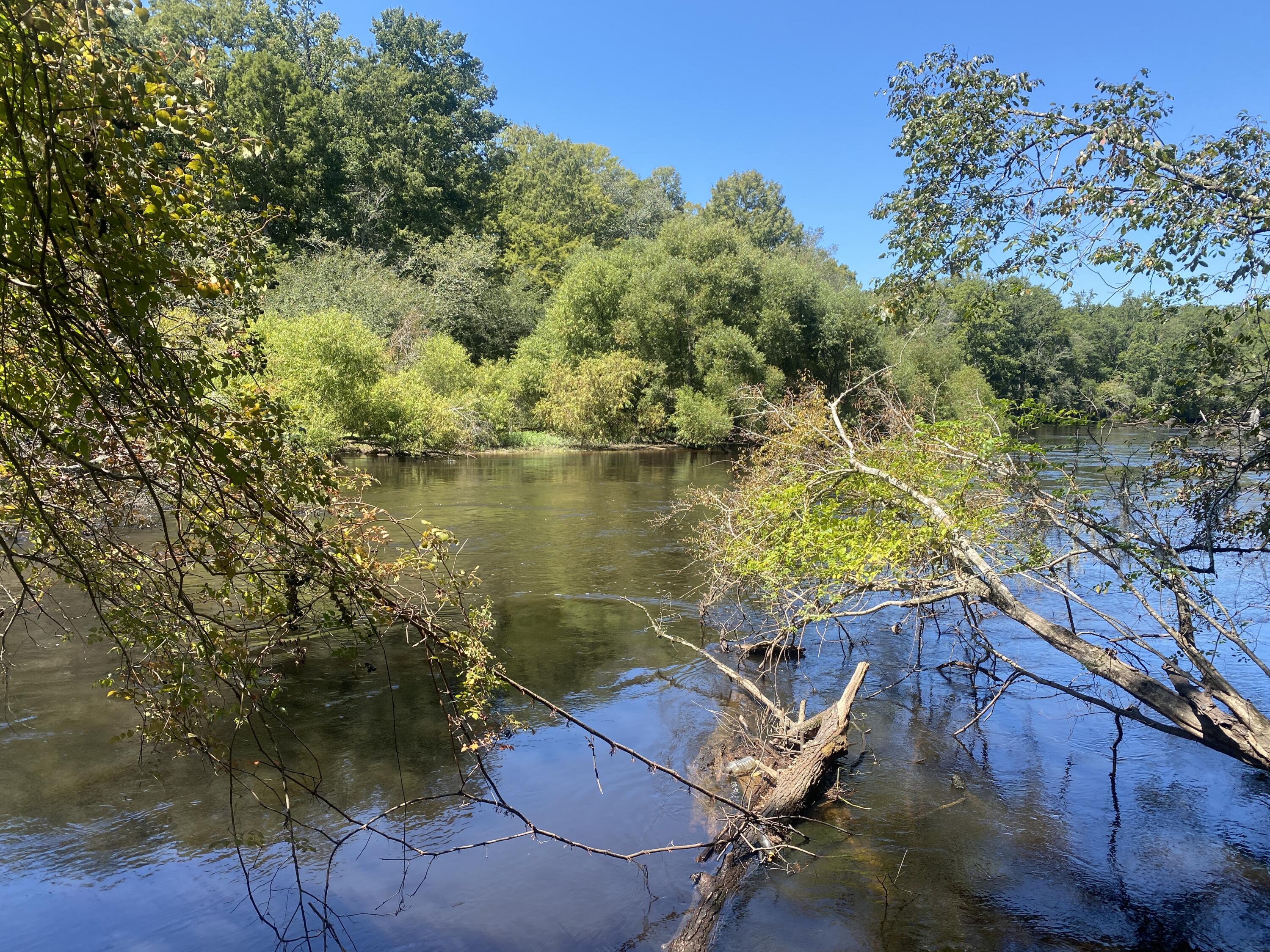 0 Hobbie Lane Round O, SC 29474 - Photo 20 of 35 0 Hobbie Lane (24)
