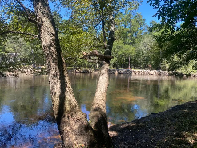 $350,000 | 0 Hobbie Lane, Round O, SC 29474