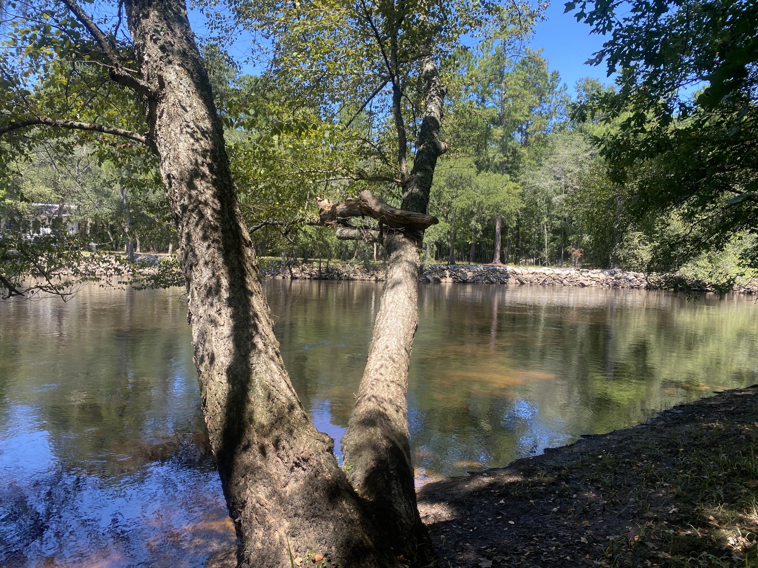 0 Hobbie Lane Round O, SC 29474 - Photo 2 of 35 0 Hobbie Lane (1)