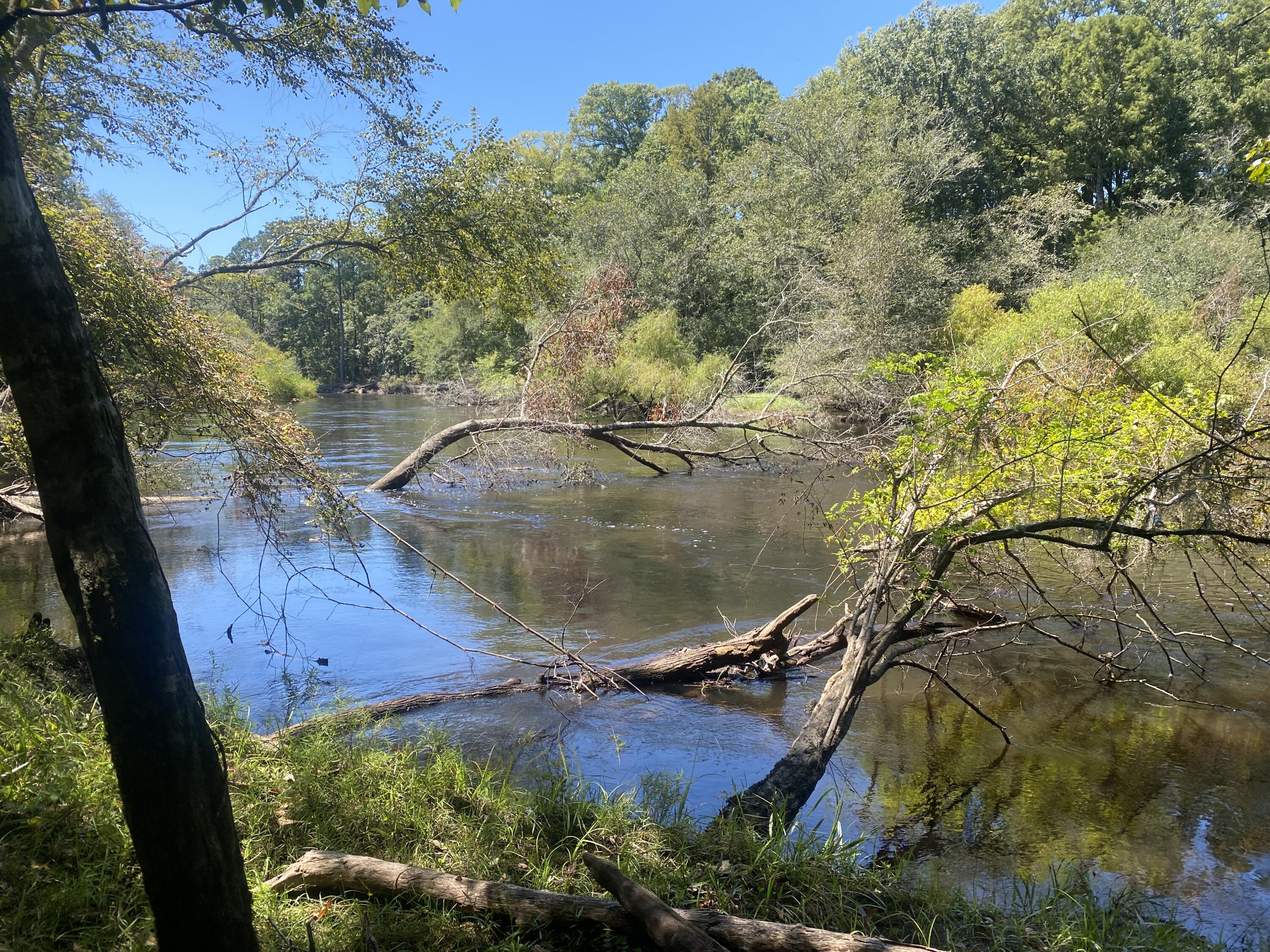 0 Hobbie Lane Round O, SC 29474 - Photo 21 of 35 0 Hobbie Lane (25)