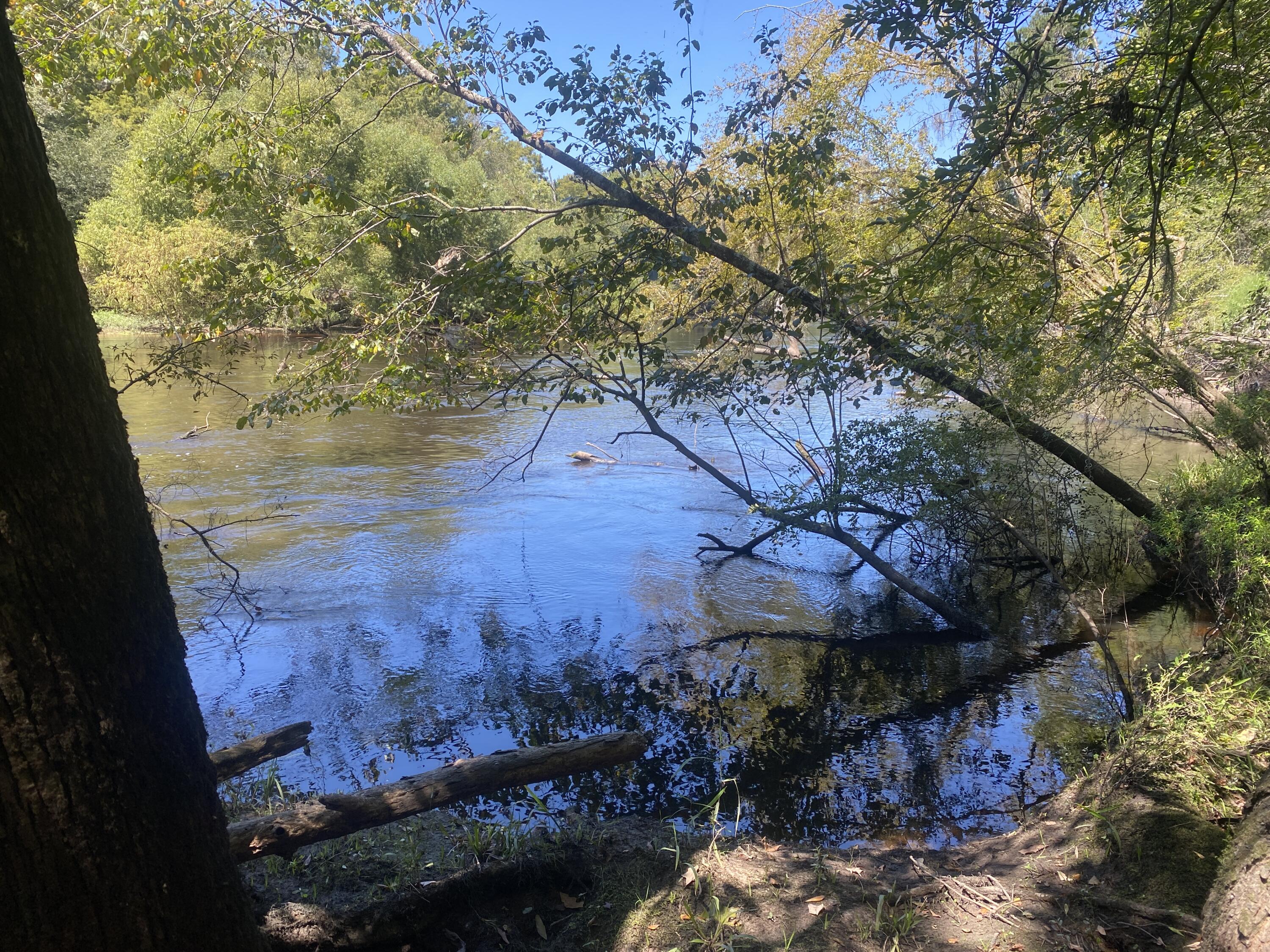 0 Hobbie Lane Round O, SC 29474 - Photo 22 of 35 0 Hobbie Lane (26)