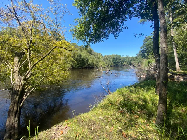 $350,000 | 0 Hobbie Lane, Round O, SC 29474