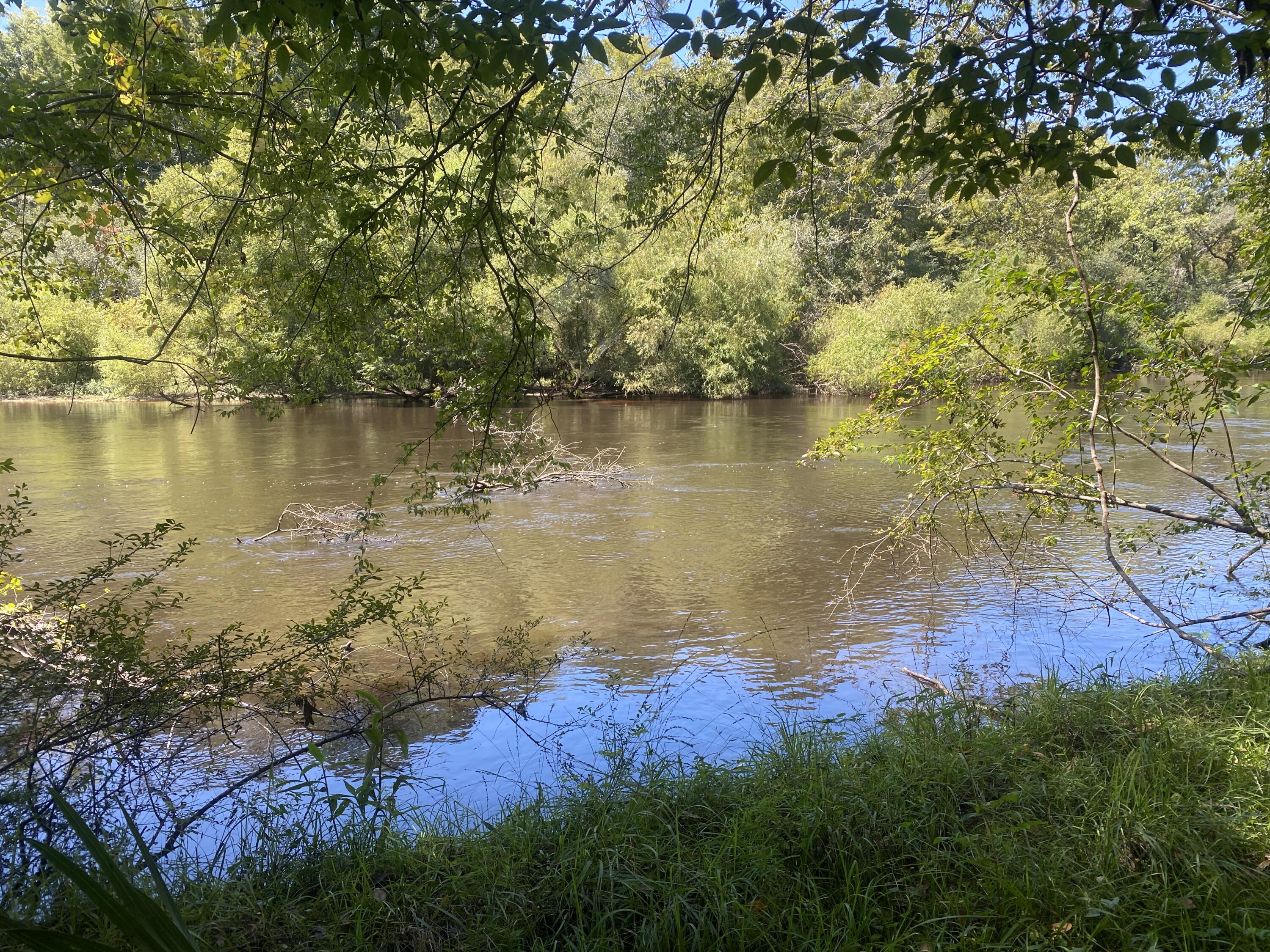 0 Hobbie Lane Round O, SC 29474 - Photo 25 of 35 0 Hobbie Lane (31)