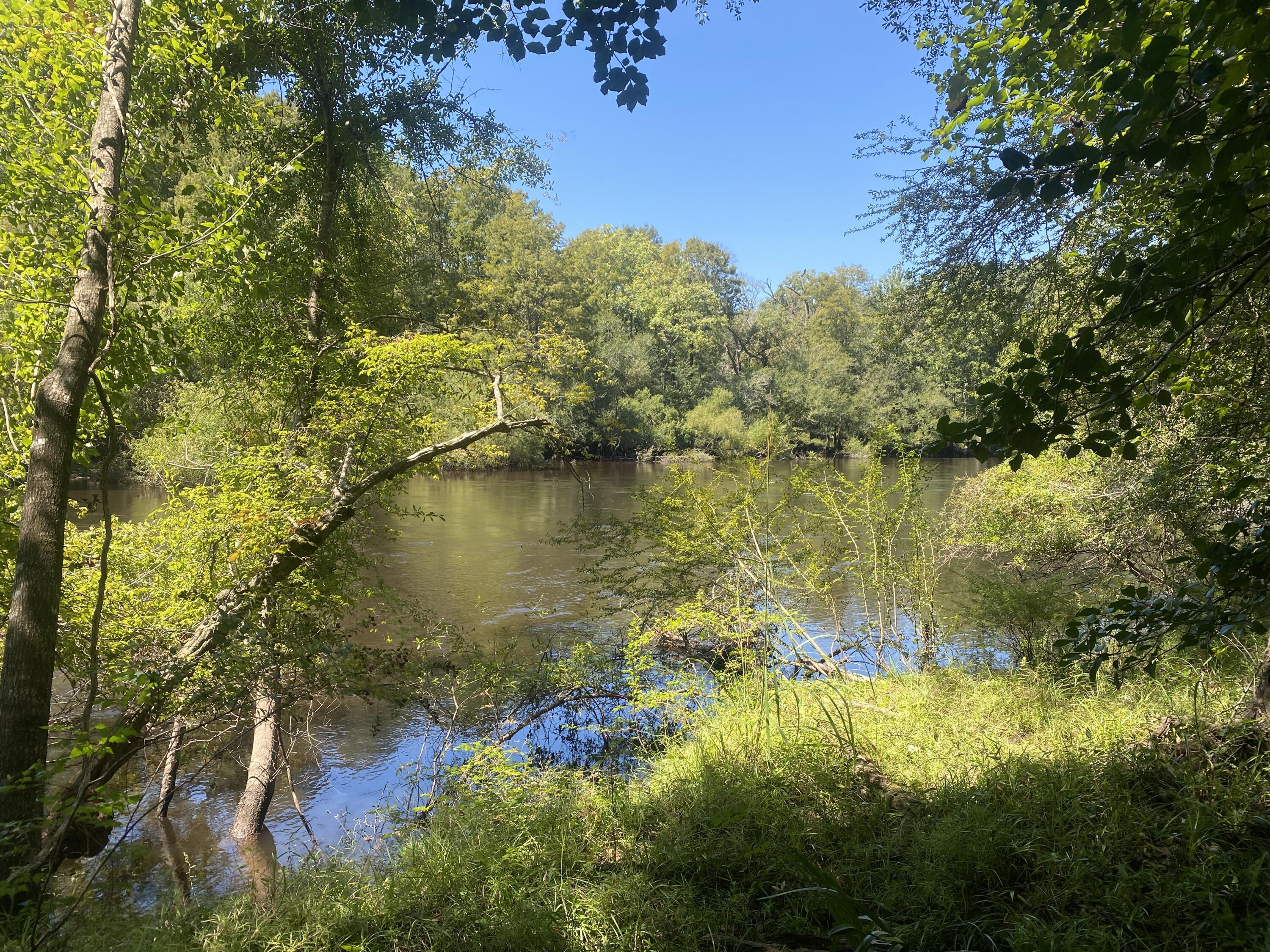 0 Hobbie Lane Round O, SC 29474 - Photo 26 of 35 0 Hobbie Lane (32)