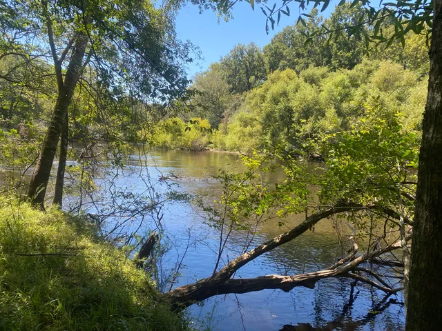 $350,000 | 0 Hobbie Lane, Round O, SC 29474