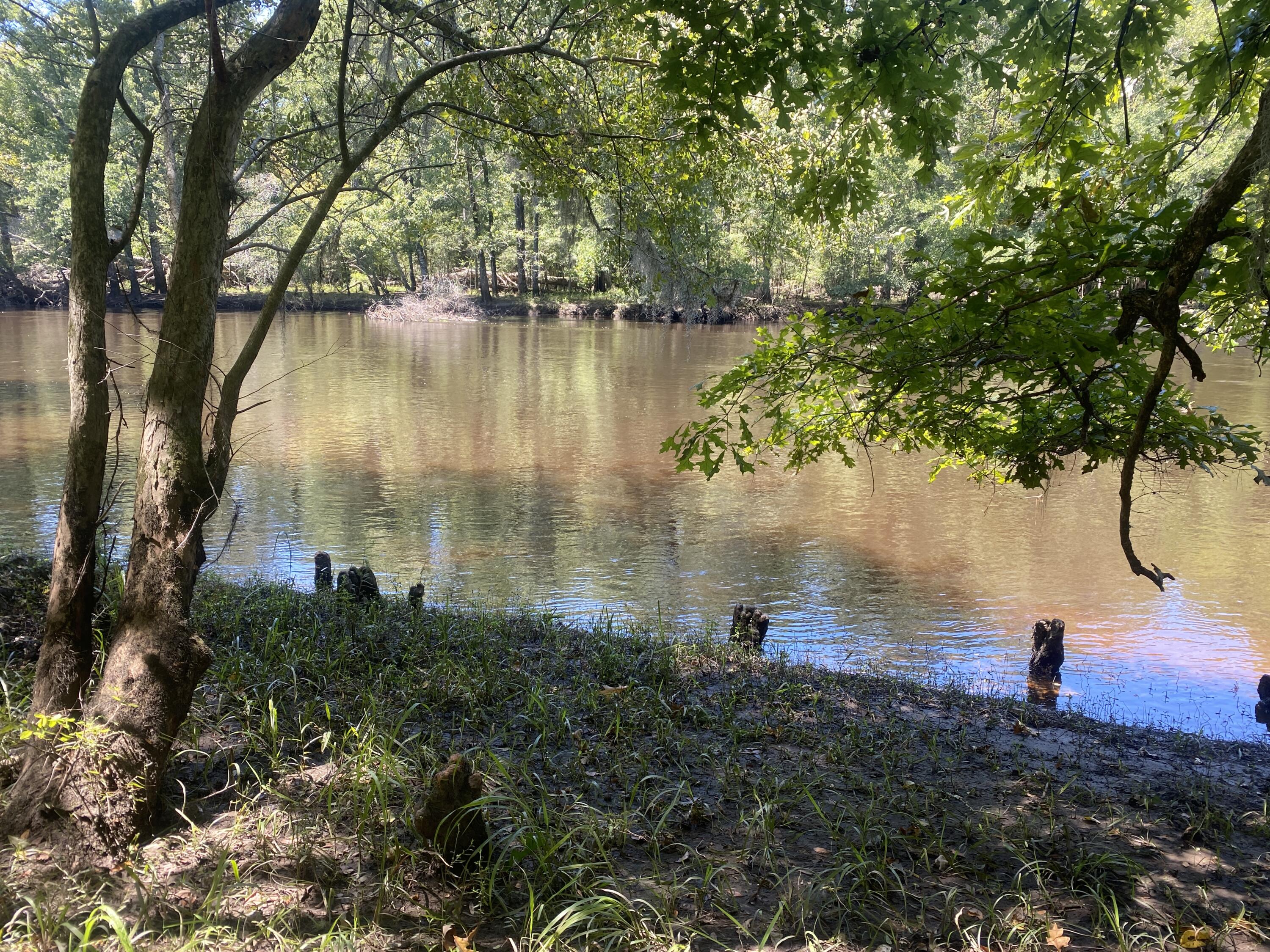 0 Hobbie Lane Round O, SC 29474 - Photo 28 of 35 0 Hobbie Lane (34)
