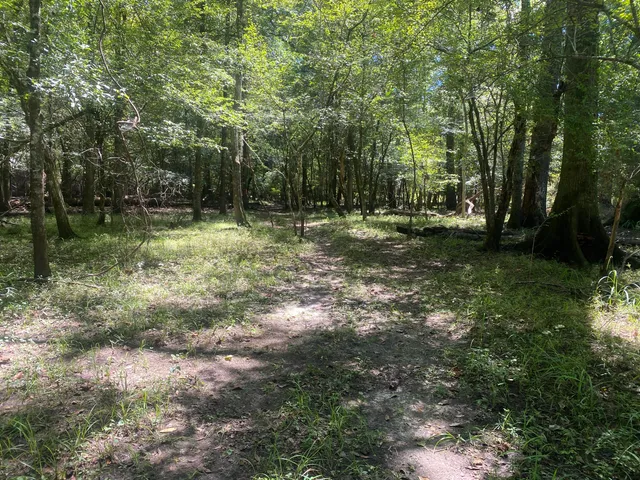 $350,000 | 0 Hobbie Lane, Round O, SC 29474