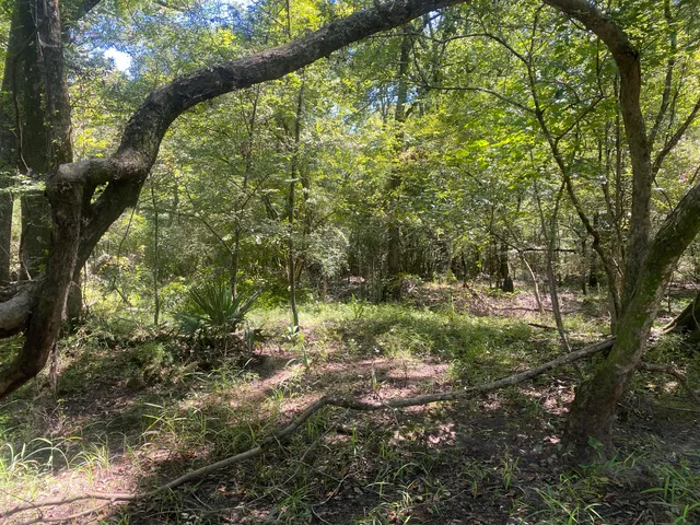 $350,000 | 0 Hobbie Lane, Round O, SC 29474