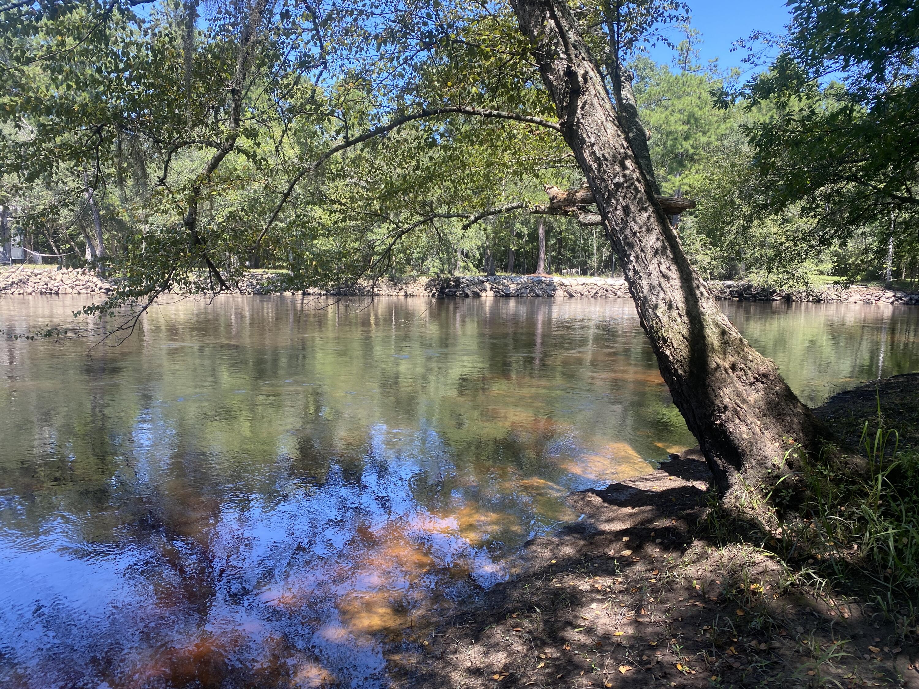 0 Hobbie Lane Round O, SC 29474 - Photo 31 of 35 0 Hobbie Lane (37)