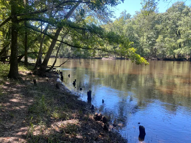 $350,000 | 0 Hobbie Lane, Round O, SC 29474