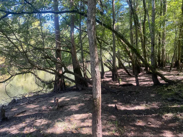 $350,000 | 0 Hobbie Lane, Round O, SC 29474