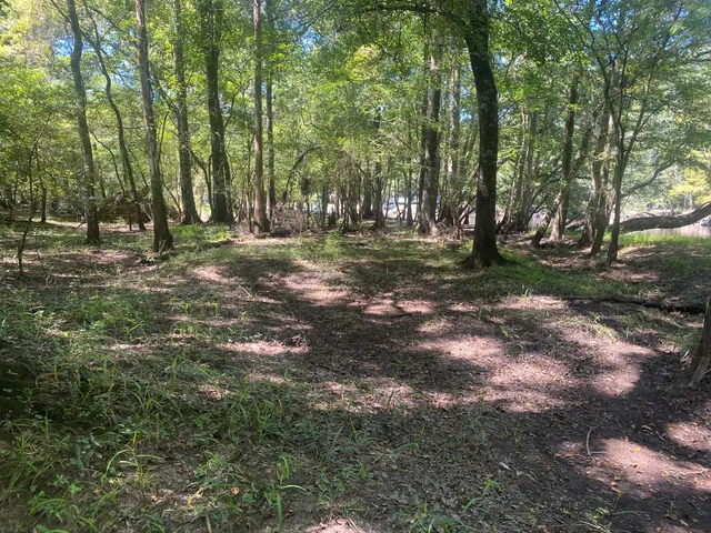 $350,000 | 0 Hobbie Lane, Round O, SC 29474